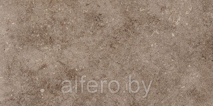 Керамическая плитка Болонья 4 600х300 коричневый Керамин - фото 7 - id-p200627659