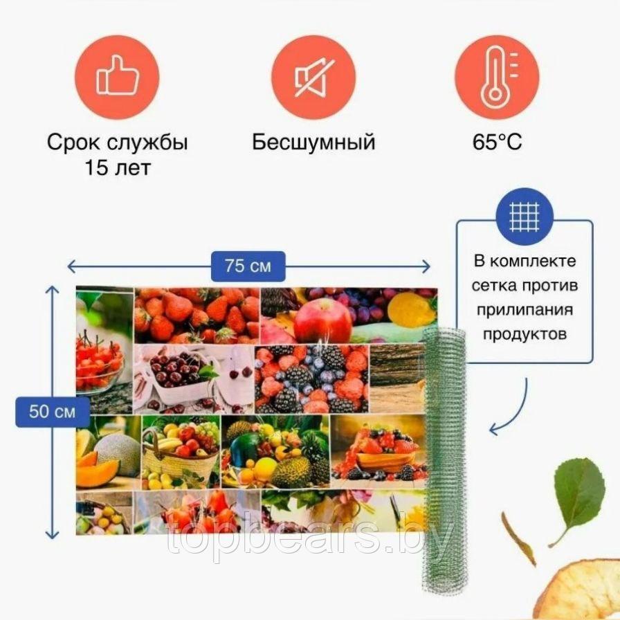 Электросушилка "Самобранка" 75*50 см (Сушка фруктов, овощей, ягод, трав, кореньев и корнеплодов, рыбы, грибов - фото 6 - id-p199826003