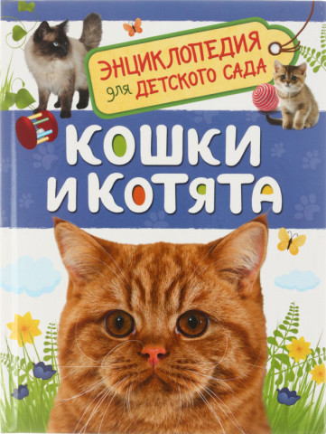 Энциклопедия «Росмэн» «Энциклопедия для детского сада» 165*220 мм, 24 л., «Кошки и котята» - фото 2 - id-p200697591