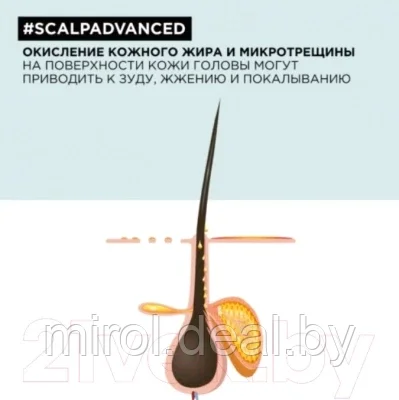 Шампунь для волос L'Oreal Professionnel Scalp Advanced регулирующий баланс чувствительной кожи головы - фото 10 - id-p200712206