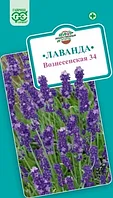 Лаванда ВОЗНЕСЕНСКАЯ 33 (узколистная), 0.05г