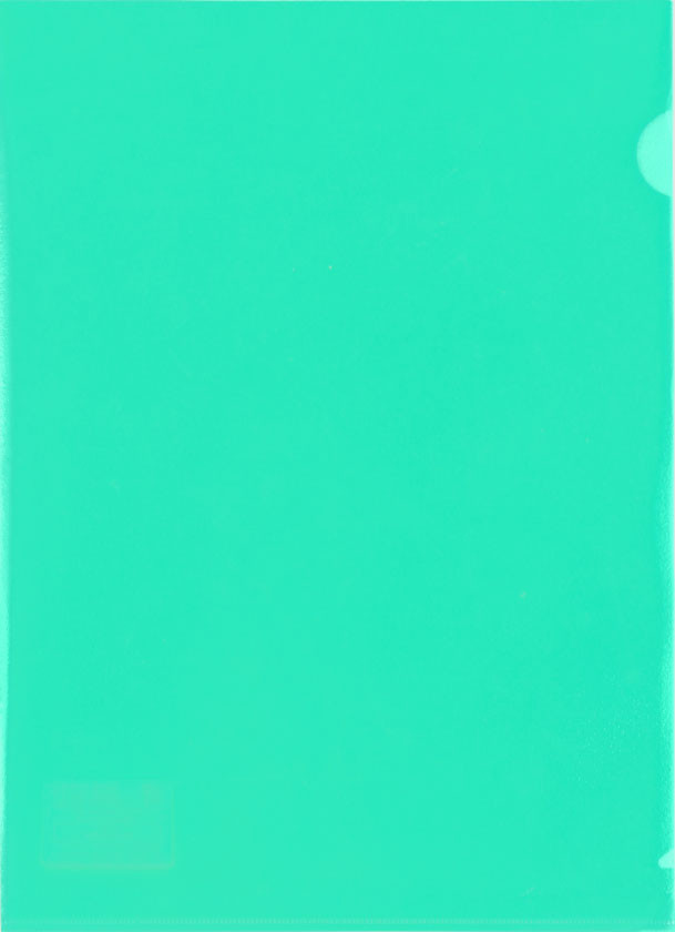 Папка-уголок пластиковая Lite А4 толщина пластика 0,10 мм, зеленая - фото 1 - id-p131762048