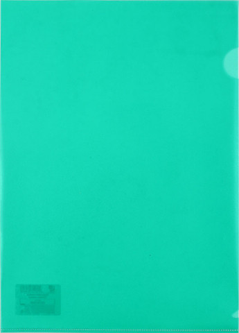 Папка-уголок пластиковая Lite А4 толщина пластика 0,10 мм, зеленая - фото 2 - id-p131762048