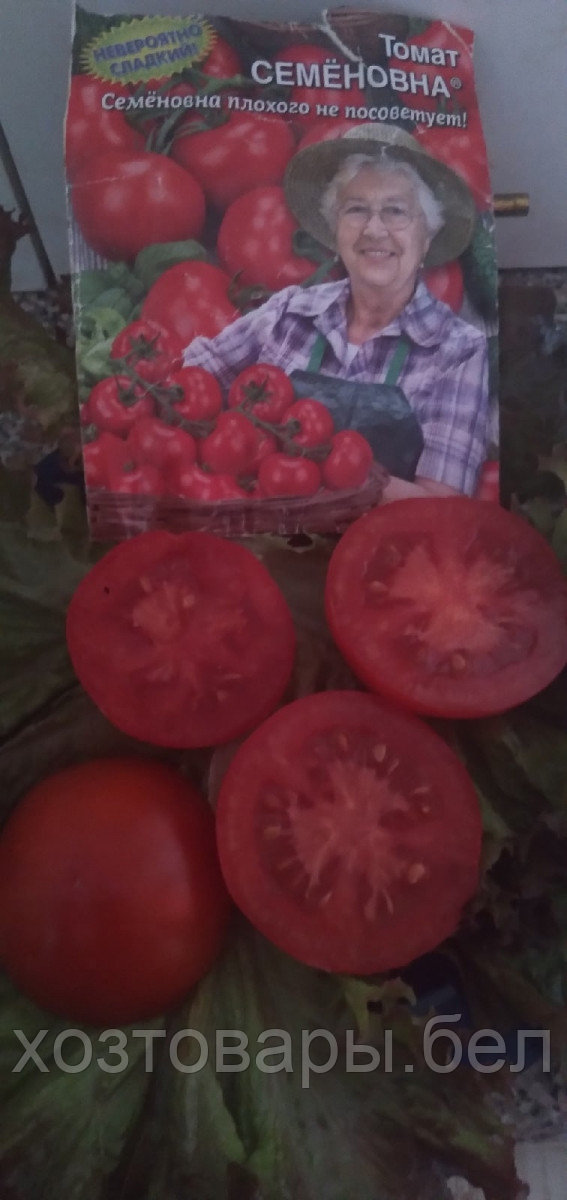 Урожайность томата семеновна