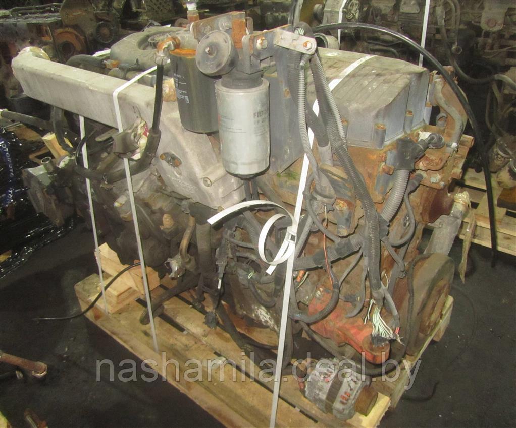 Двигатель Iveco EuroTrakker - фото 1 - id-p200815966