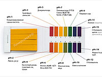 Лакмусовая индикаторная бумага pH 1-14 (универсальная)РН-тест