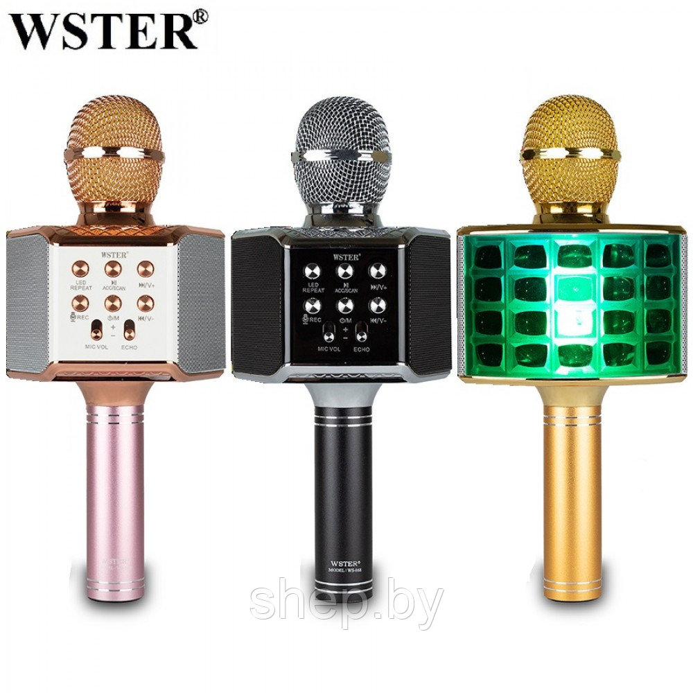 Беспроводной микрофон караоке Wster WS-868 (оригинал) - фото 1 - id-p200958713