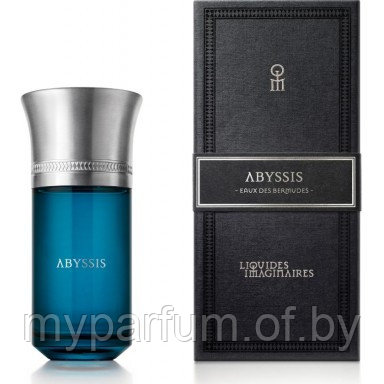 Унисекс парфюмерная вода Les Liquides Imaginaires Abyssis edp 90ml (PREMIUM)