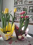 Тюльпаны к 14 февраля и  8 марта, фото 7