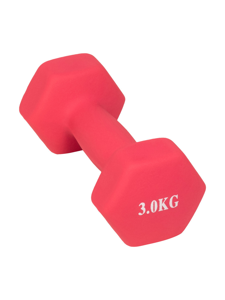 Гантель Profit MDK-101-4 (3 кг) розовый - фото 1 - id-p201210863