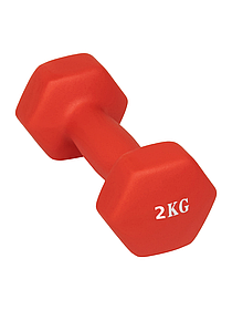 Гантель Profit MDK-101-4 (2 кг) красный