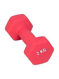 Гантель Profit MDK-101-4 (2 кг) розовый