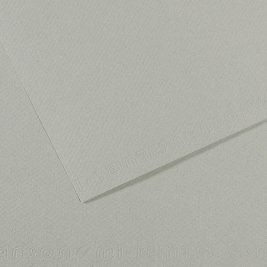 Бумага для пастели Mi-Teintes 160г/м.кв 50*65 см №354 Серое небо