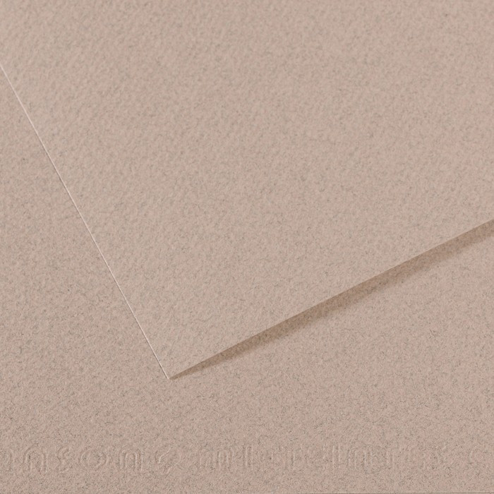 Бумага для пастели Mi-Teintes 160г/м.кв 50*65 см №426 Серый лунный камень