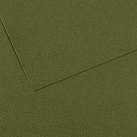 Бумага для пастели Mi-Teintes 160г/м.кв 50*65 см №448 Зеленый плющ