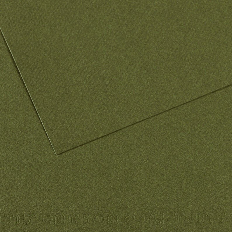 Бумага для пастели Mi-Teintes 160г/м.кв 50*65 см №448 Зеленый плющ - фото 1 - id-p201229923