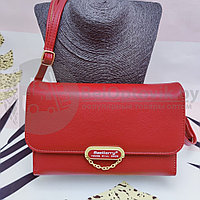 Женская сумочка - портмоне N8606 с плечевым ремнем Baellerry Young Will Show