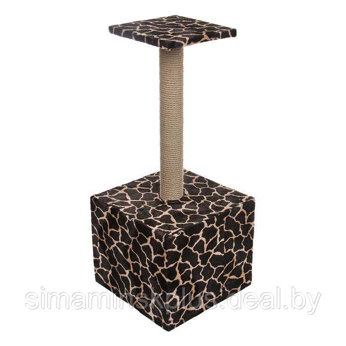 Домик для кошек с когтеточкой "Куб", с площадкой и игрушкой, 35 х 30 х 85 см, микс цветов - фото 2 - id-p201261852