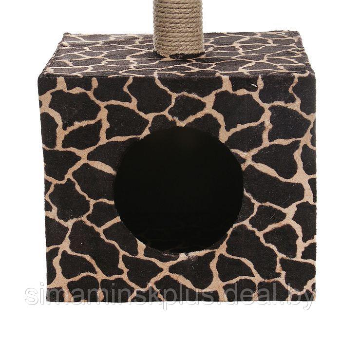 Домик для кошек с когтеточкой "Куб", с площадкой и игрушкой, 35 х 30 х 85 см, микс цветов - фото 3 - id-p201261852