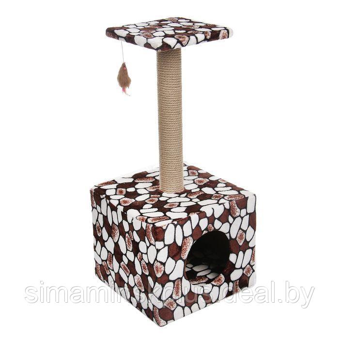 Домик для кошек с когтеточкой "Куб", с площадкой и игрушкой, 35 х 30 х 85 см, микс цветов - фото 7 - id-p201261852