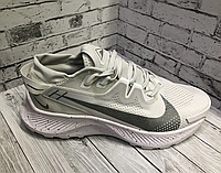 Кроссовки мужские Nike Pegasus Trail 2 41