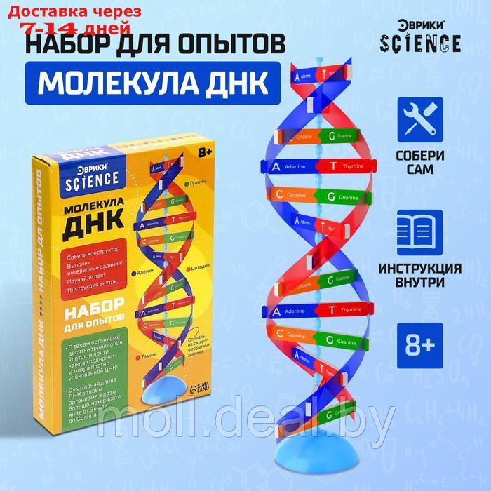 Набор для опытов "Молекула ДНК"