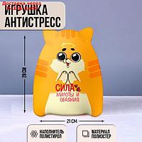 Игрушка - антистресс Котэ "Сила милоты и обаяния"