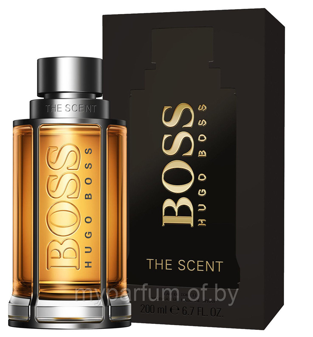 Мужская парфюмированная вода Hugo Boss The Scent Intense edt 100ml - фото 1 - id-p201274429