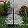 Светильник садовый на солнечной батарее "Морской Ёж" 70 см, 1LED, 300 m/ah, БЕЛЫЙ, фото 2