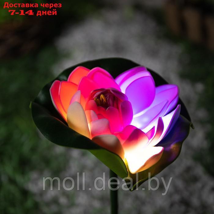 Светильник садовый на солнечной батарее "Лотос" 70 см, 1LED, 300 m/ah, МУЛЬТИ - фото 1 - id-p201246885