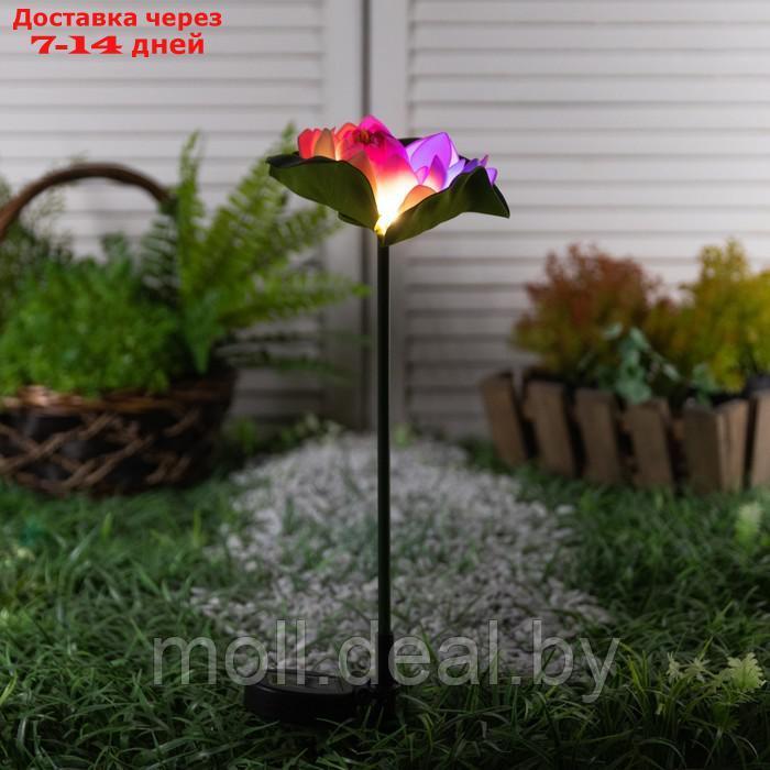 Светильник садовый на солнечной батарее "Лотос" 70 см, 1LED, 300 m/ah, МУЛЬТИ - фото 2 - id-p201246885