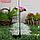 Светильник садовый на солнечной батарее "Лотос" 70 см, 1LED, 300 m/ah, МУЛЬТИ, фото 3