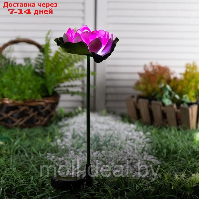 Светильник садовый на солнечной батарее "Лотос" 70 см, 1LED, 300 m/ah, БЕЛЫЙ - фото 2 - id-p201246888