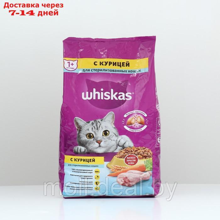 Сухой корм Whiskas для стерилизованных кошек, курица, 1,9 кг - фото 2 - id-p201246355