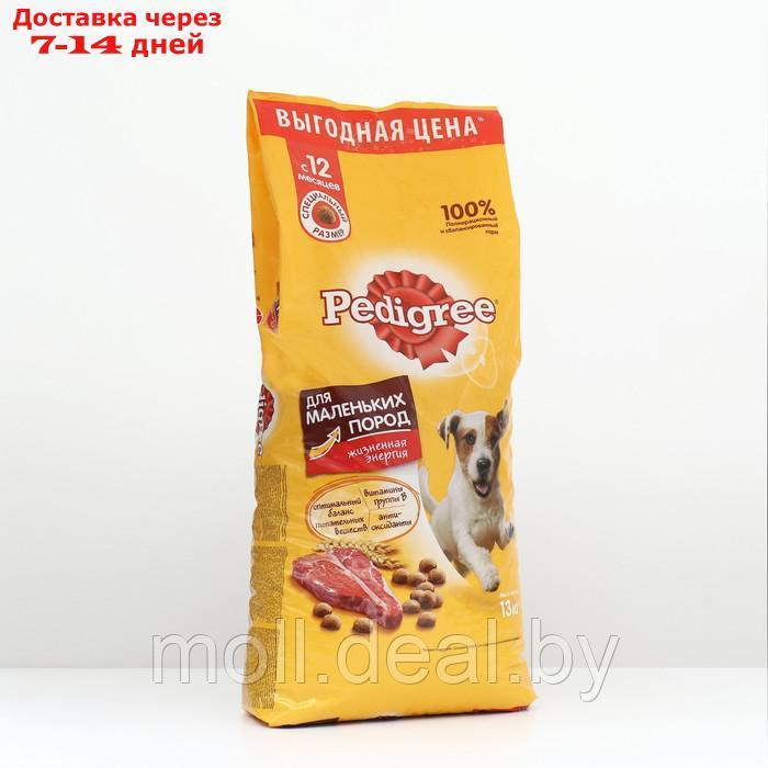 Сухой корм Pedigree для собак мелких пород, говядина, 13 кг - фото 1 - id-p201246358