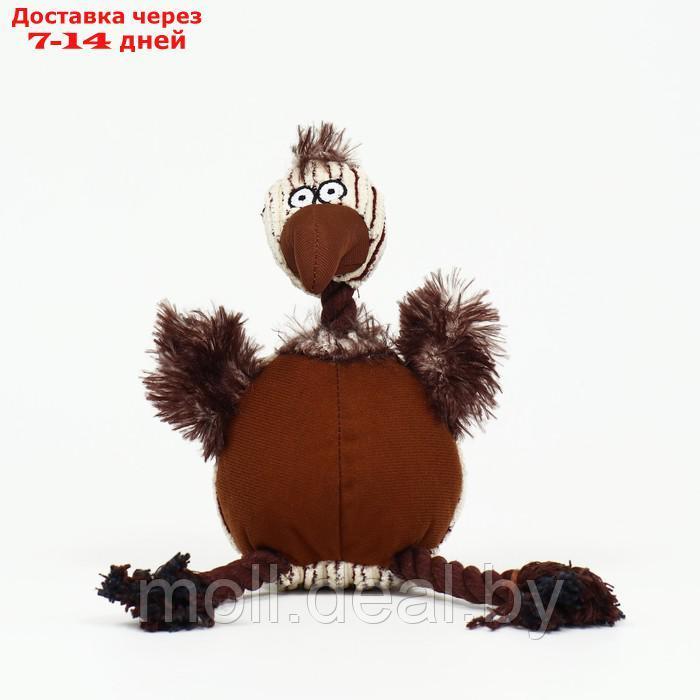 Игрушка текстильная "Ворона", 29 х 17 см - фото 2 - id-p201246399