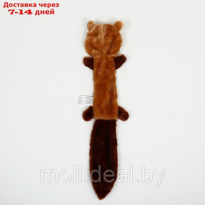 Игрушка текстильная "Белка", 45 х 15 см - фото 3 - id-p201246409