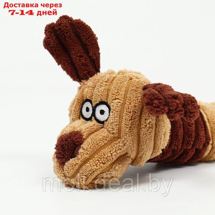 Игрушка текстильная "Пес", 24 х 8 см, коричневая - фото 4 - id-p201246420
