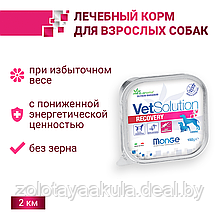 150гр Monge VetSolution Dog RECOVERY Вет. диета для собак после операций и травм