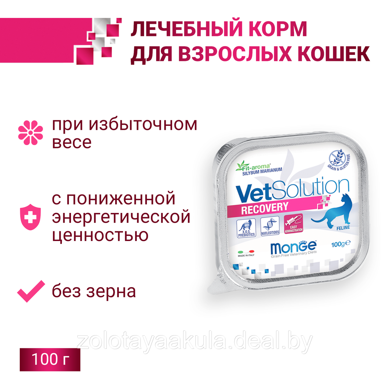 100гр Monge VetSolution Cat RECOVERY Вет. диета влажная для кошек после операций и травм - фото 1 - id-p201279755