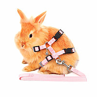 Pet Комплект для кроликов, шлея и поводок, р-р 1.0*120 см