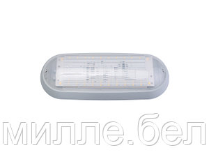Светильник светодиодный ДПО01-6-701 УХЛ4 BYLECTRICA (потолочный)