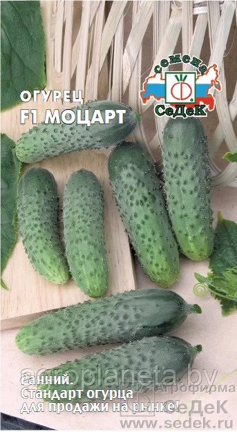 Огурец Моцарт F1 8шт Седек