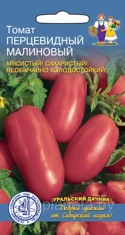 Томат Перцевидный Малиновый 20шт Уральский Дачник