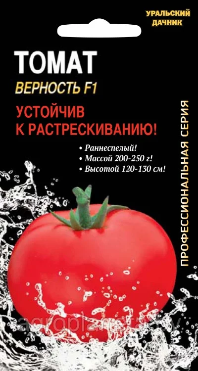 Томат Верность F1 12шт Уральский Дачник