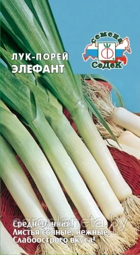Лук порей Элефант 1г Седек