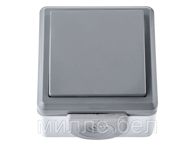 Выключатель 1 клав. (открытый, 10А, струезащ.) серый, Пралеска Аква, BYLECTRICA (IP55 пылеструезащищенный) - фото 1 - id-p201387693