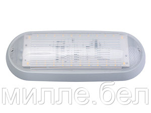 Светильник светодиодный ДПО01-6-731 УХЛ4 BYLECTRICA