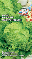 Салат Обхрустишься (Айсберг) кочанный 0.5г Ср (Седек)