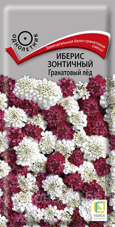 Иберис Гранатовый лед зонтичный 0,1г Одн 30см (Поиск)